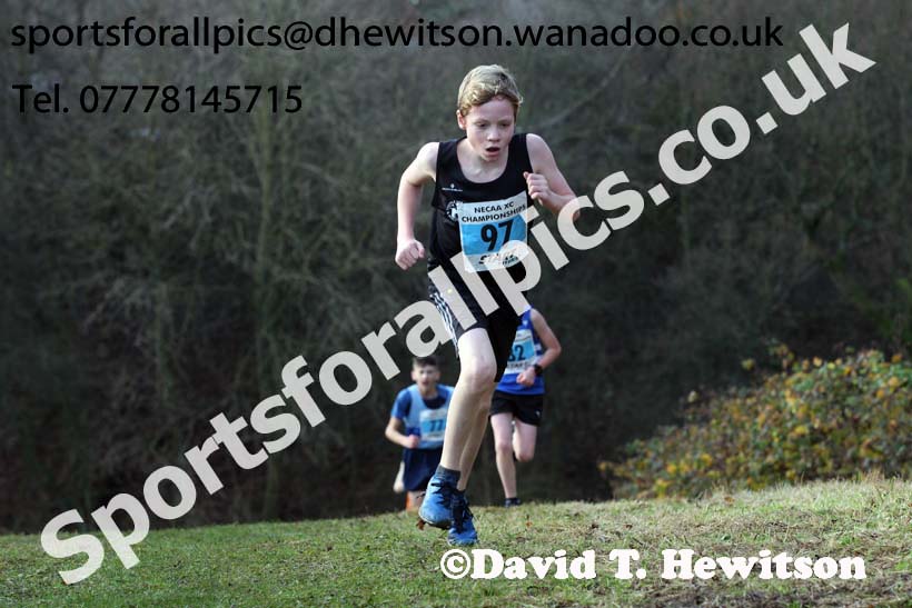 Boys under-13s North Eastern Cross Country, Aykley Heads, Durham. Photo: David T. Hewitson/Sports for All Pics